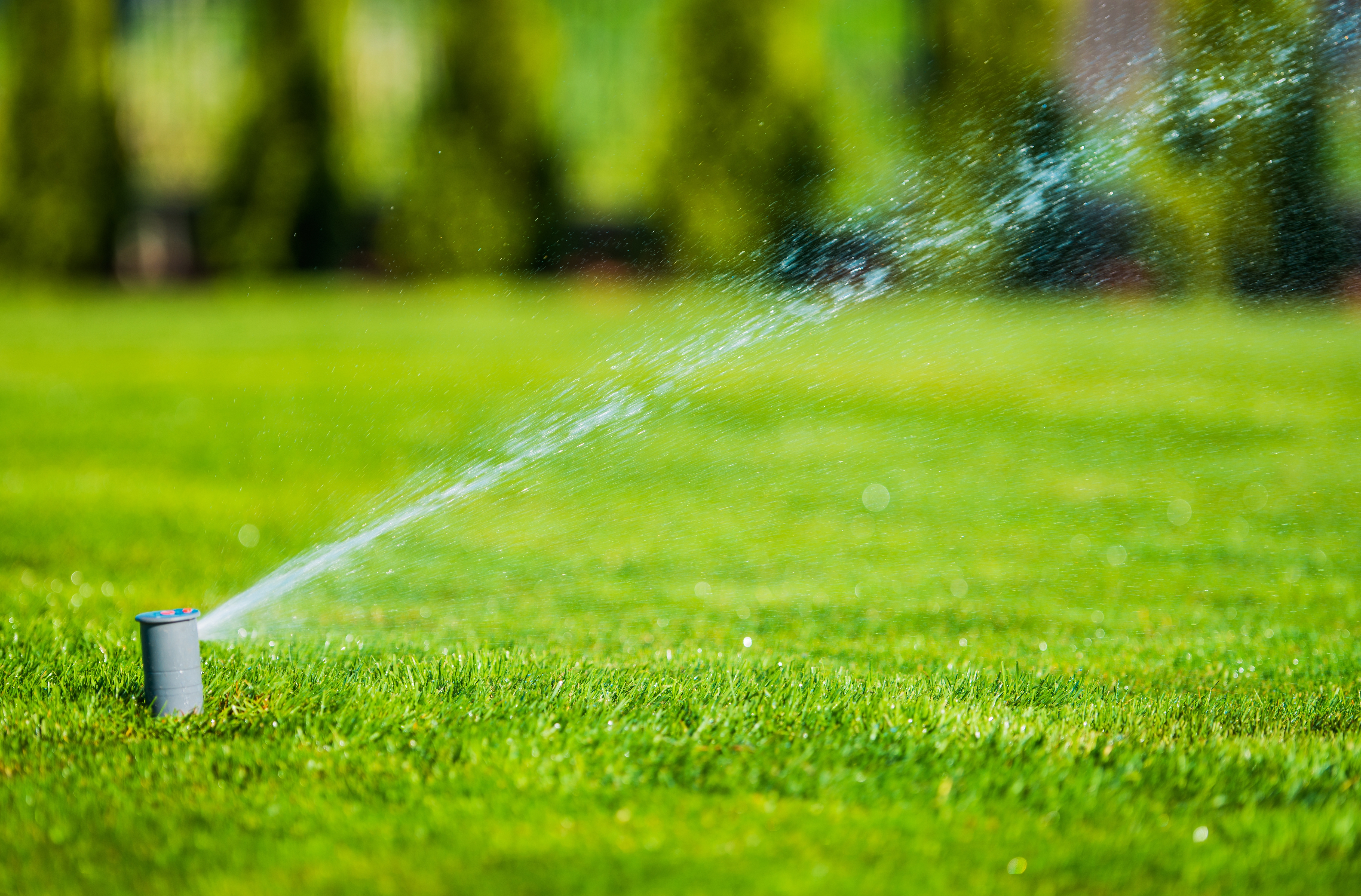 Brunnenbau Technik für Ihren Garten