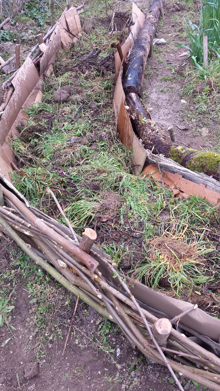 Couche d'herbes et de gazon  (Photo : L. Bruas)