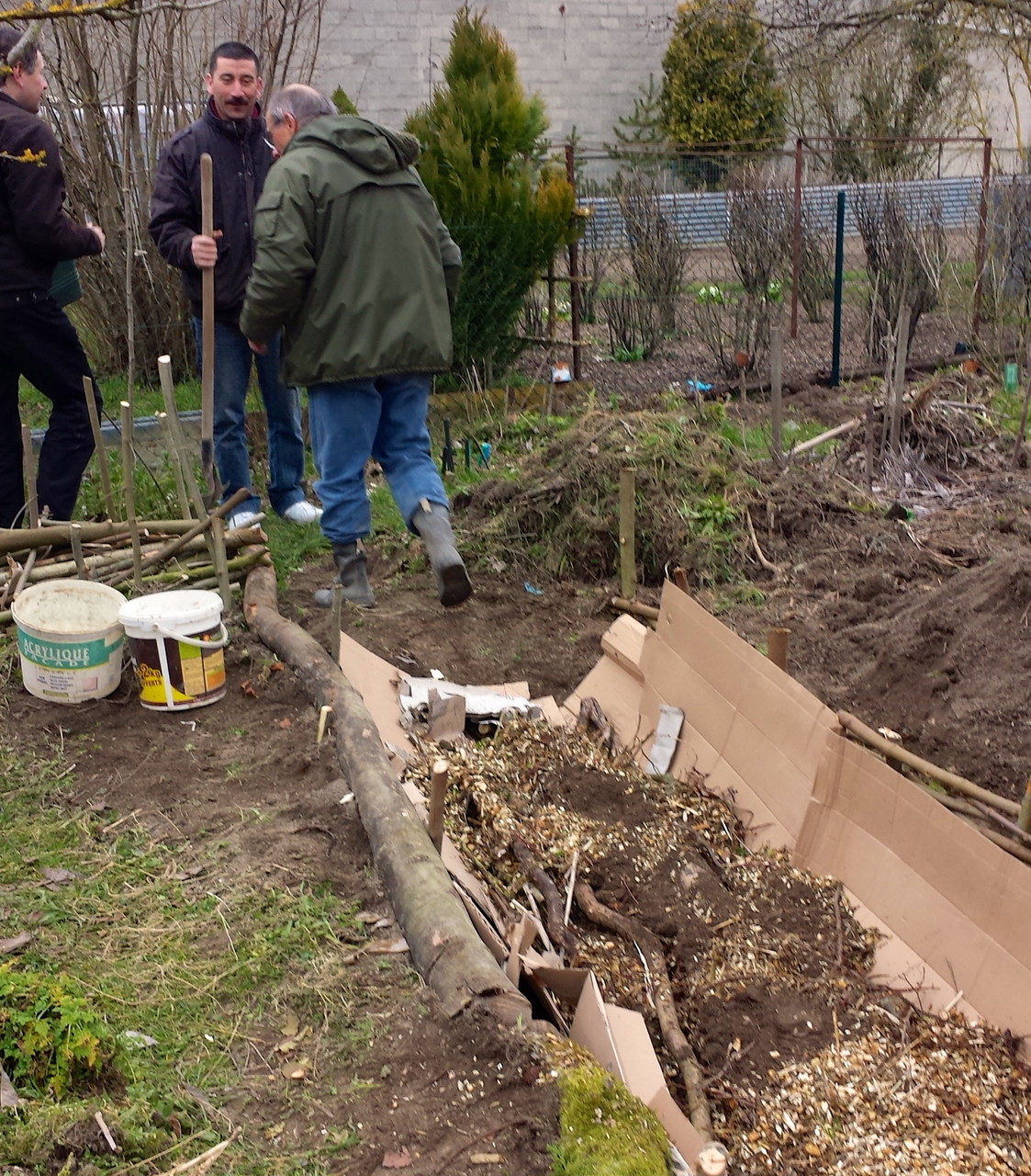 ... BRF (bois raméal fragmenté)   (Photo : L. Bruas)