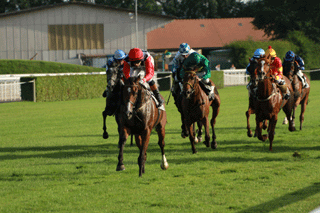 Lark Bunting, Sieg in Avenches 28.06.2012