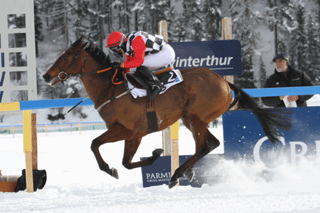 Rayo, Sieg in St. Moritz 21.02.2010