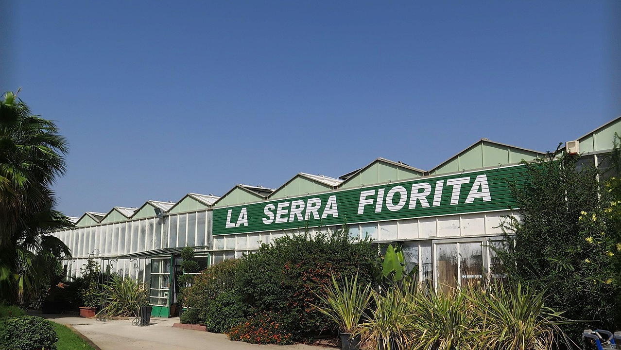 Vivaio Di Piante In Sardegna La Serra Fiorita Assemini