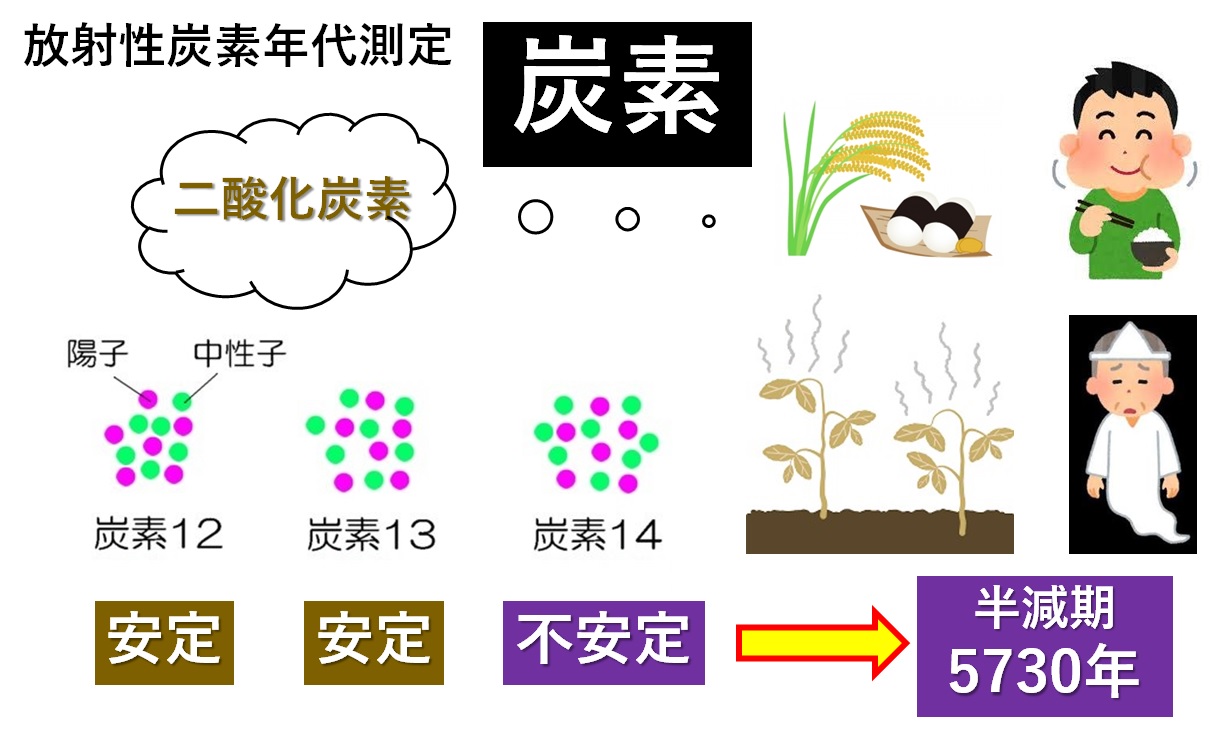 炭素14年代測定法