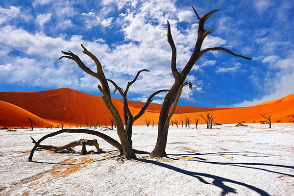 fantastisches#Namibia