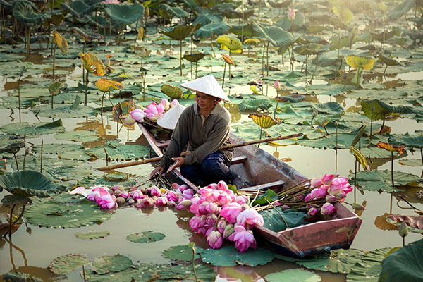 fantastisches#Laos