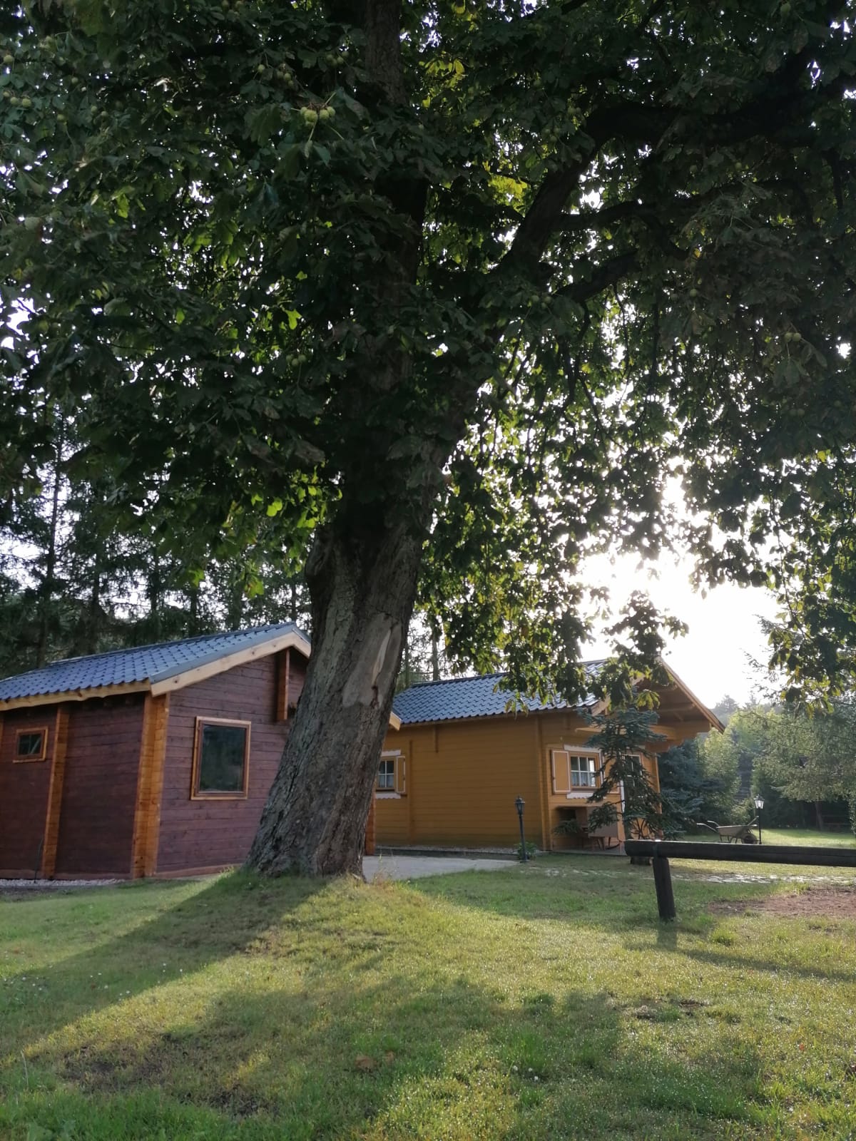 Perspektive Holzbungalows
