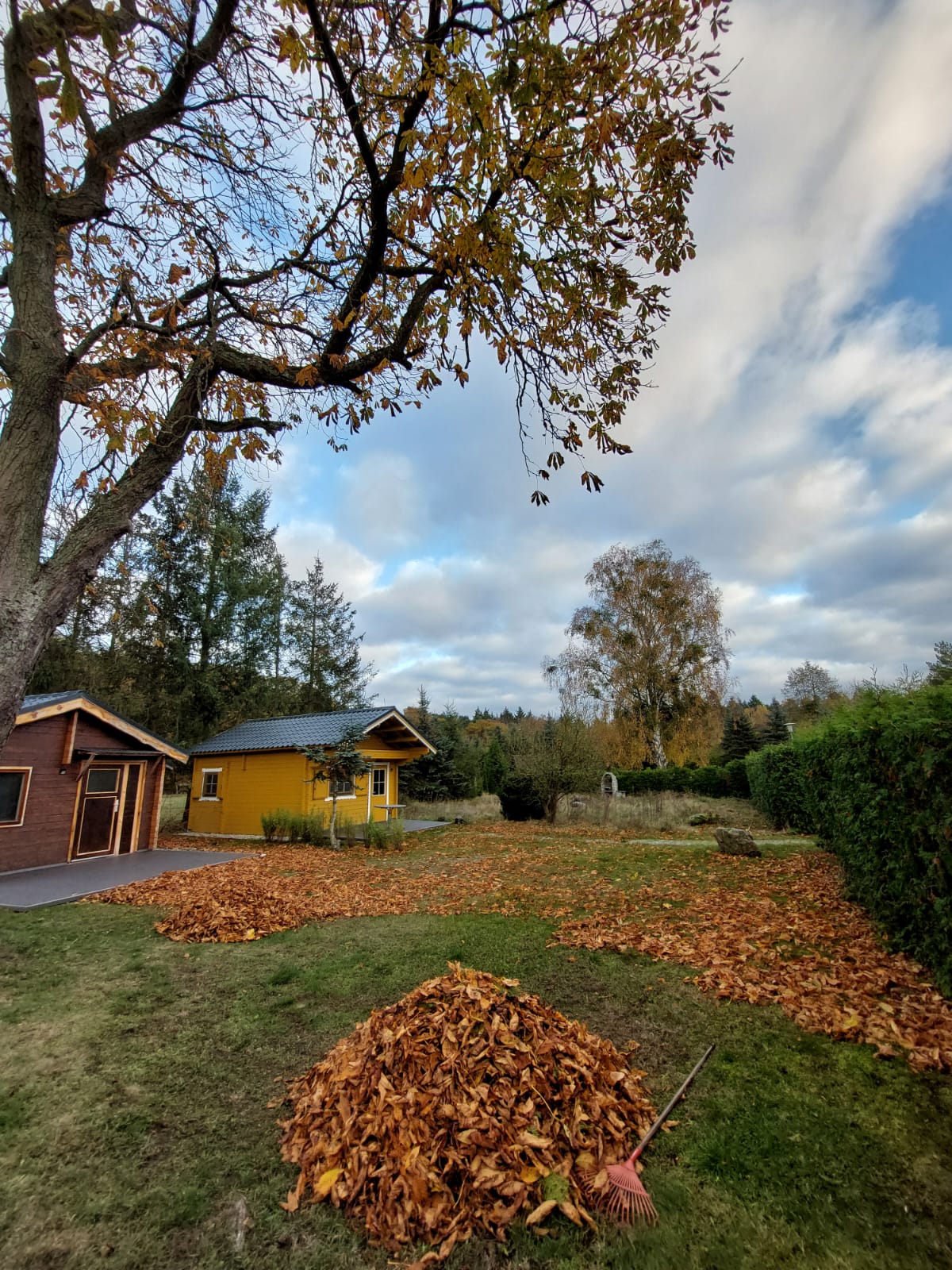 Holzbungalows Swinemünde & Misdroy
