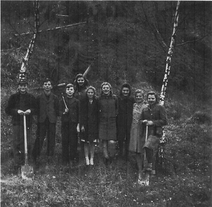 Schüler beim Aufbau der Waldschule