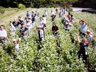 ２０１９菜園の芋煮会　２００９年から毎年１０月に芋煮会開催