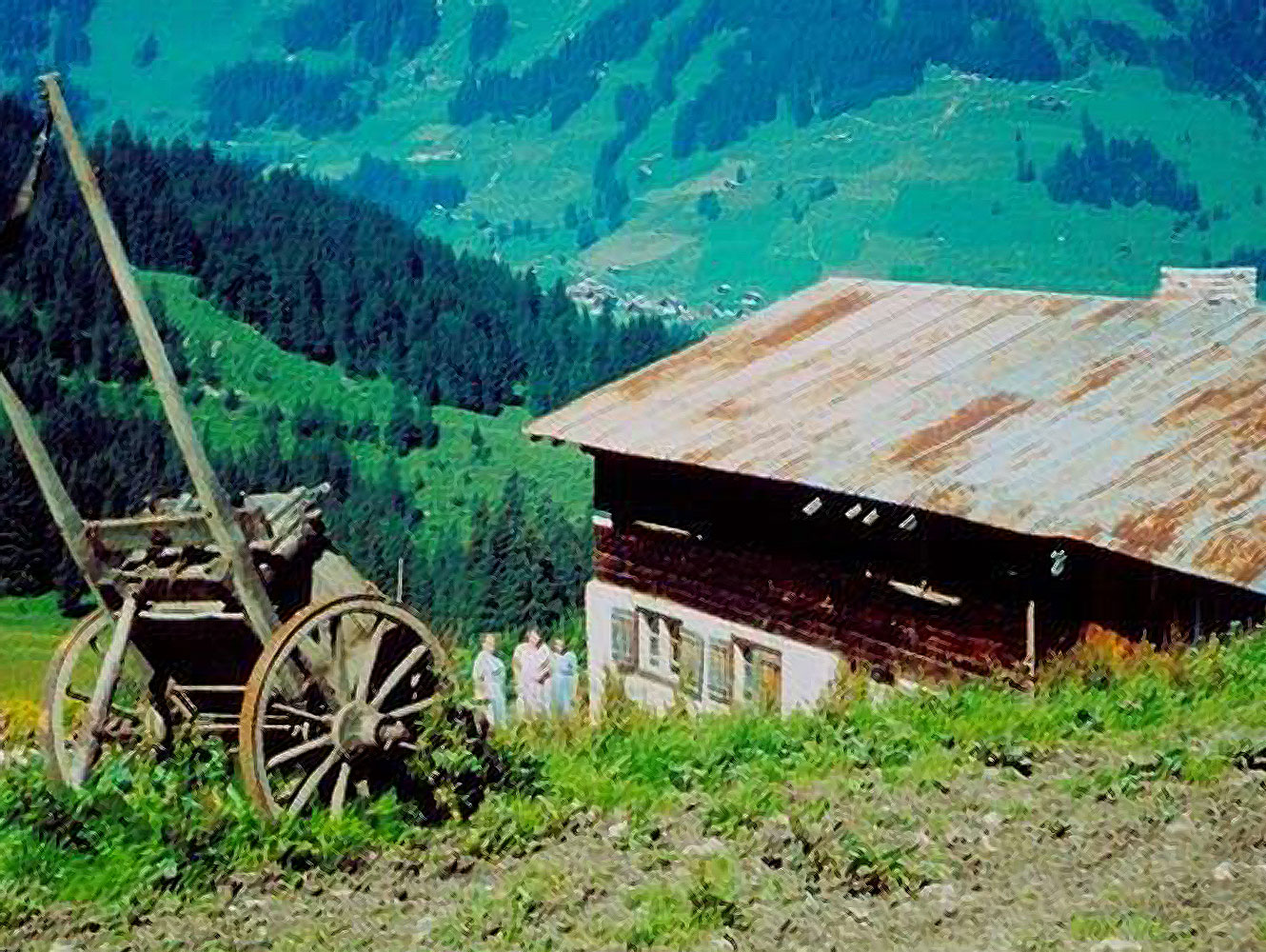 Innere Wiesalpe im Kleinwalsertal, Bergkäse, Wurst, Alpkäse, Butter, Schinken, Speck im Online-Shop kaufen, Ausflugsziel, Alpe im Wildental, 1.300 m