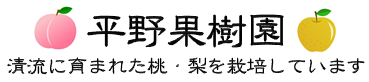 熊本県で桃、梨を栽培しています。