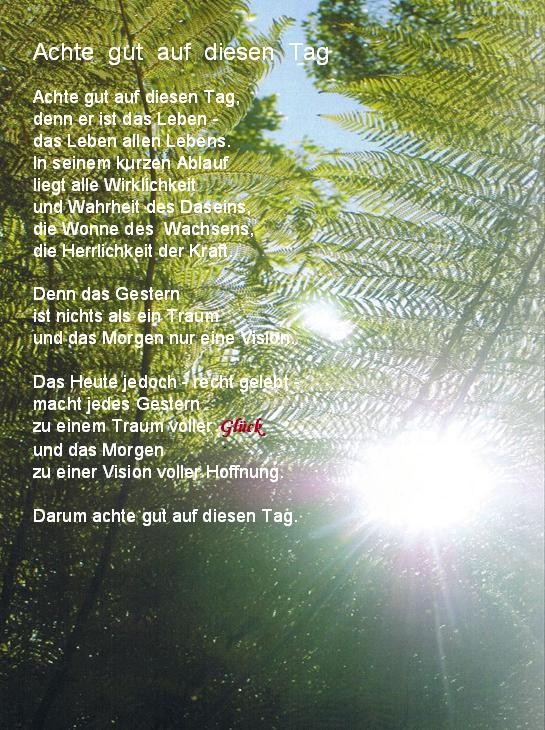 Auf Diesen Auf Diesen