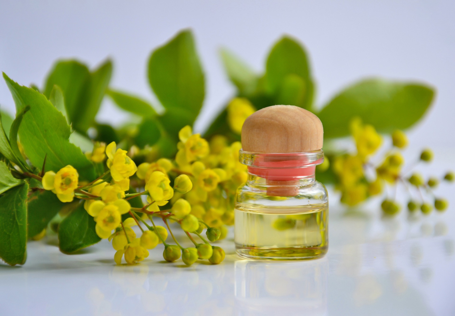 Ganzheitliches Anti Stress Programm - Vital und Gesund 