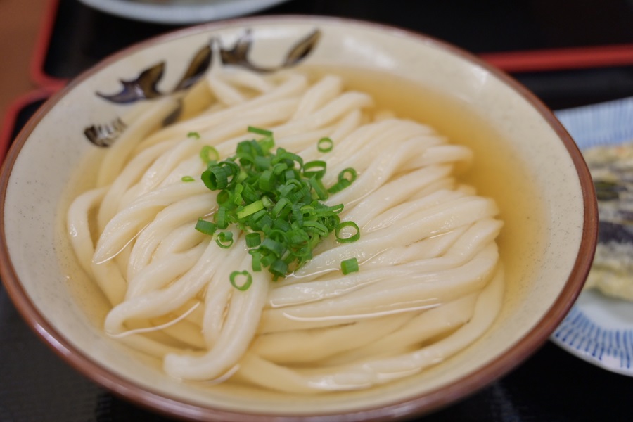 うどんをすすりながらSDGsについて考える。
