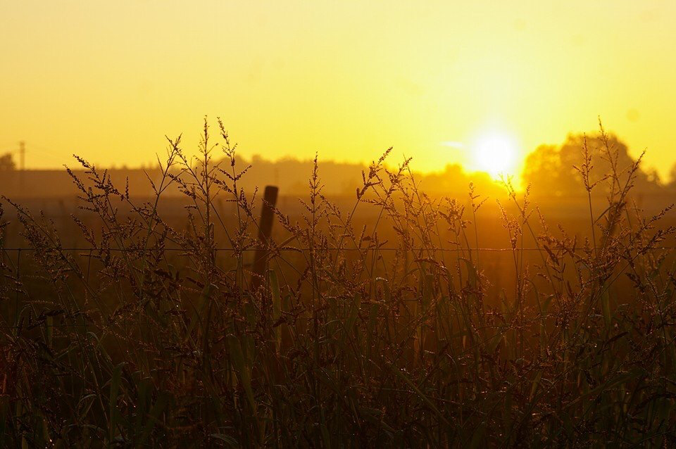 Sonnenaufgang