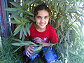 Asmaa Ibrahim Hussein Afaneh, 12, jan 4
