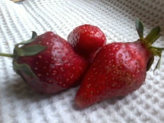 Cueillette de fraises à la maison