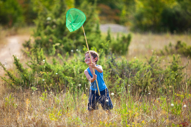 La chasse aux papillons