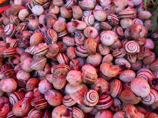 Bild: Fischmarkt Palermo