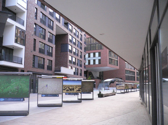 Bild: Überseeboulevard mit Dauerfotoausstellung