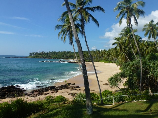 Bild: Strand, Palmen, Meer