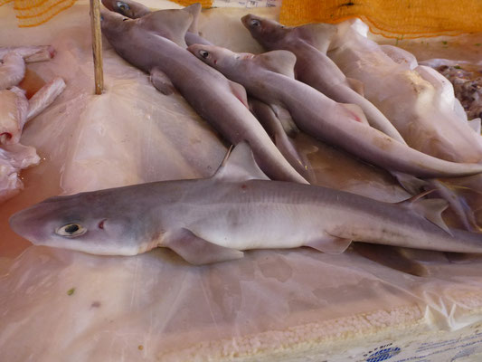 Bild: Fischmarkt Palermo