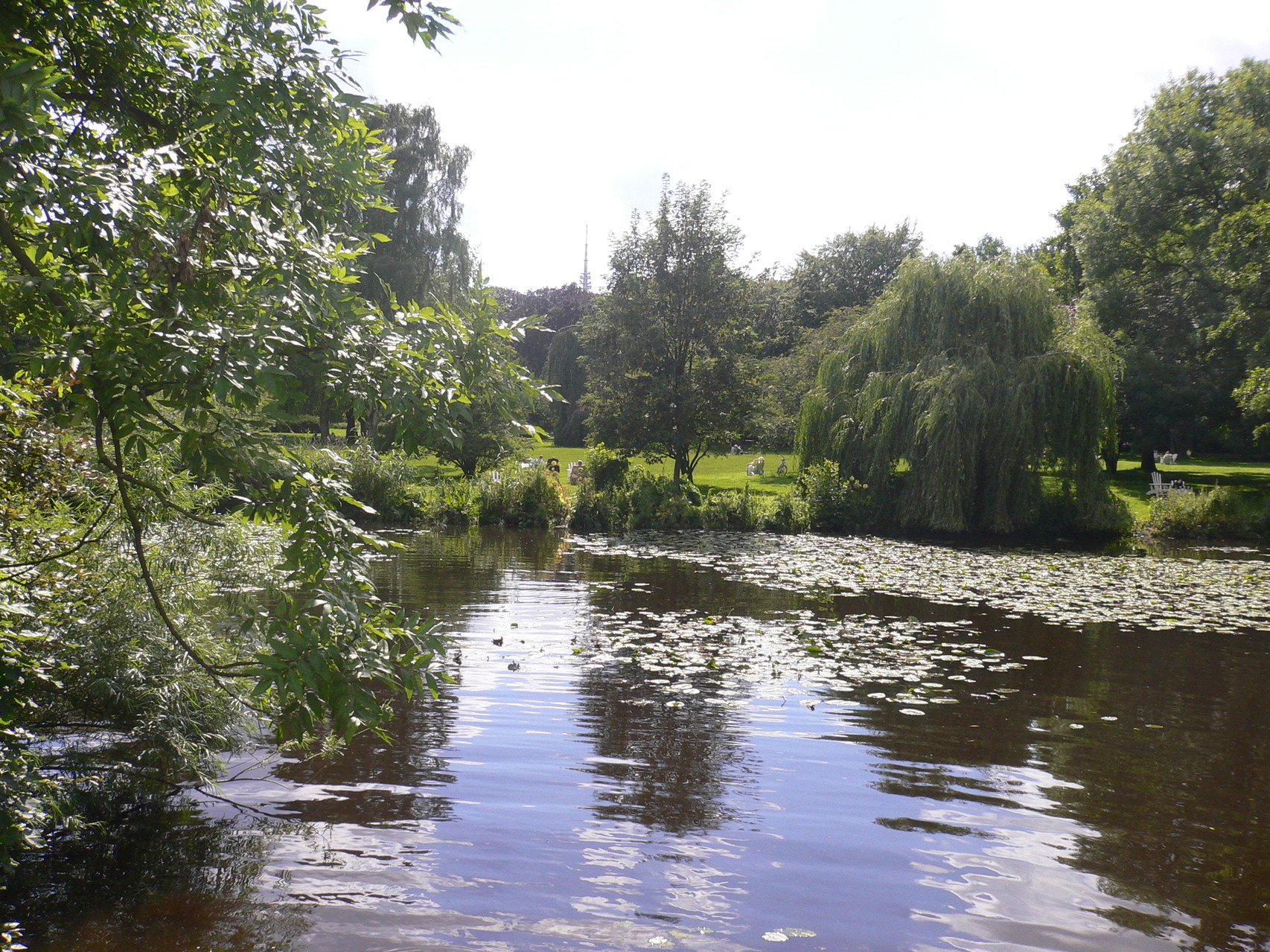 Alsterlauf