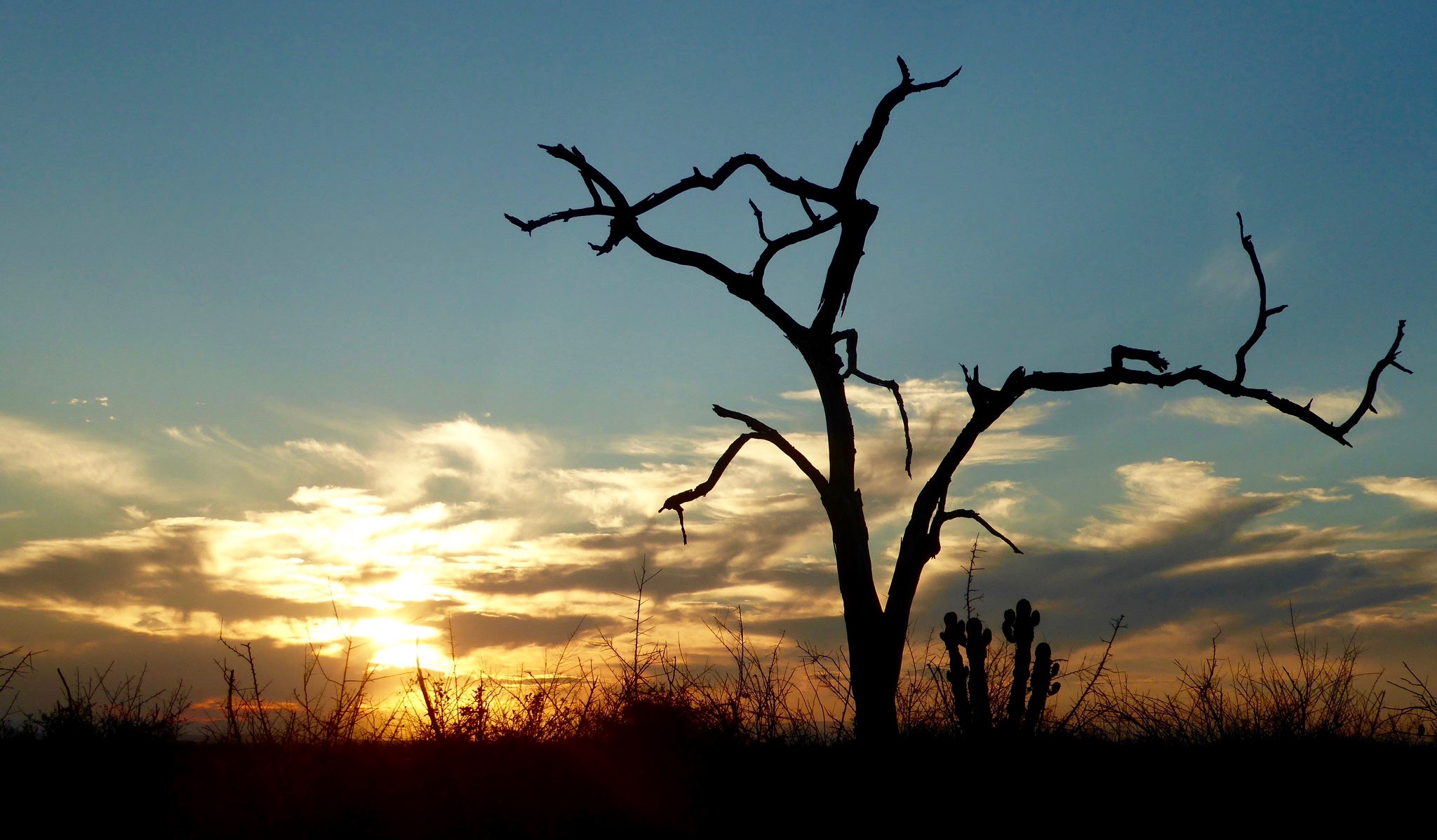 Bild: Sonnenuntergang im Hlune Royal Park