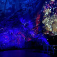  Bild: Höhle Han-sur-Lesse Lichtershow