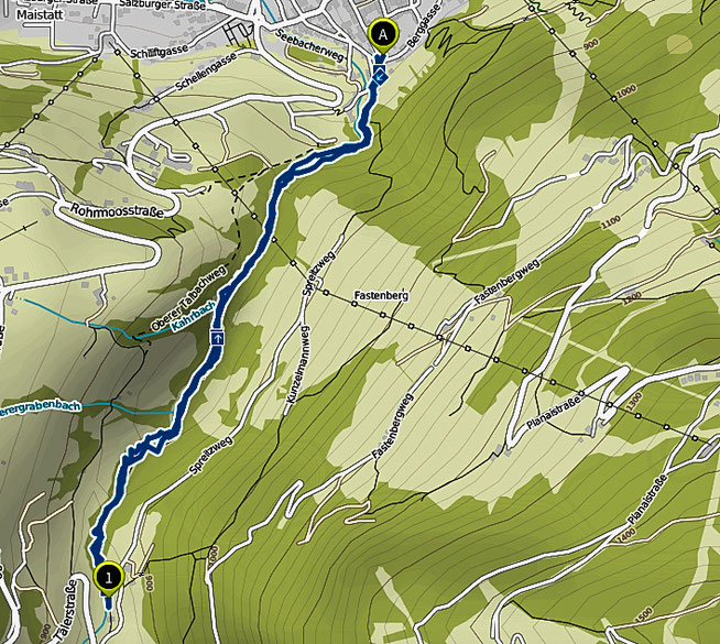 Bild Wanderung Talbachklamm bei Schladming
