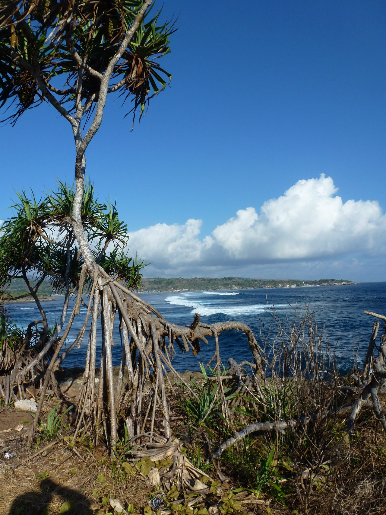 Wellen laufen ein in die Bucht zum Dream Beach