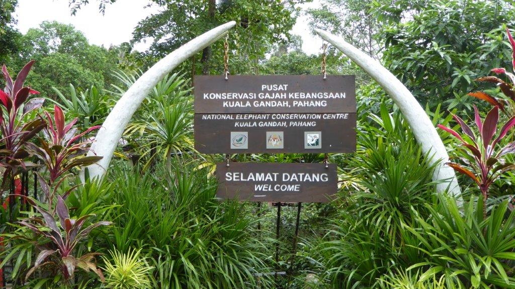 Bild: Eingang zur Elefantenschutzstation in der Nähe von Kuala Lumpur