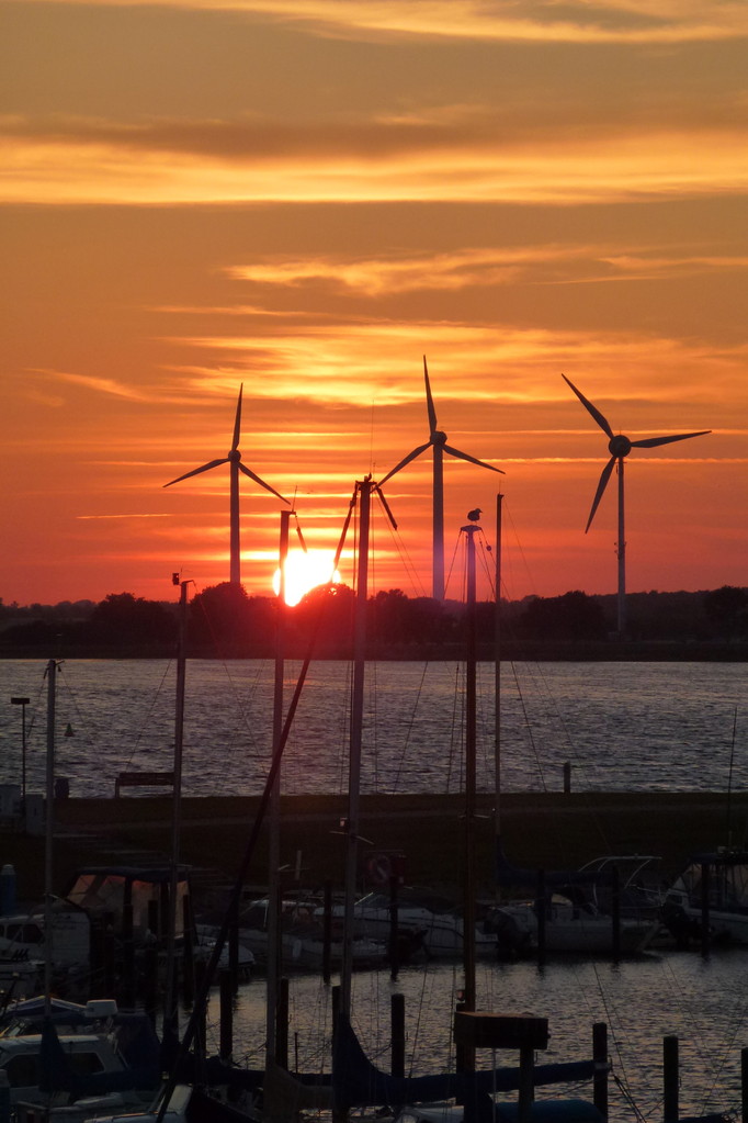 Bild: Abendhimmel mit Blick zum Wulfener Hals