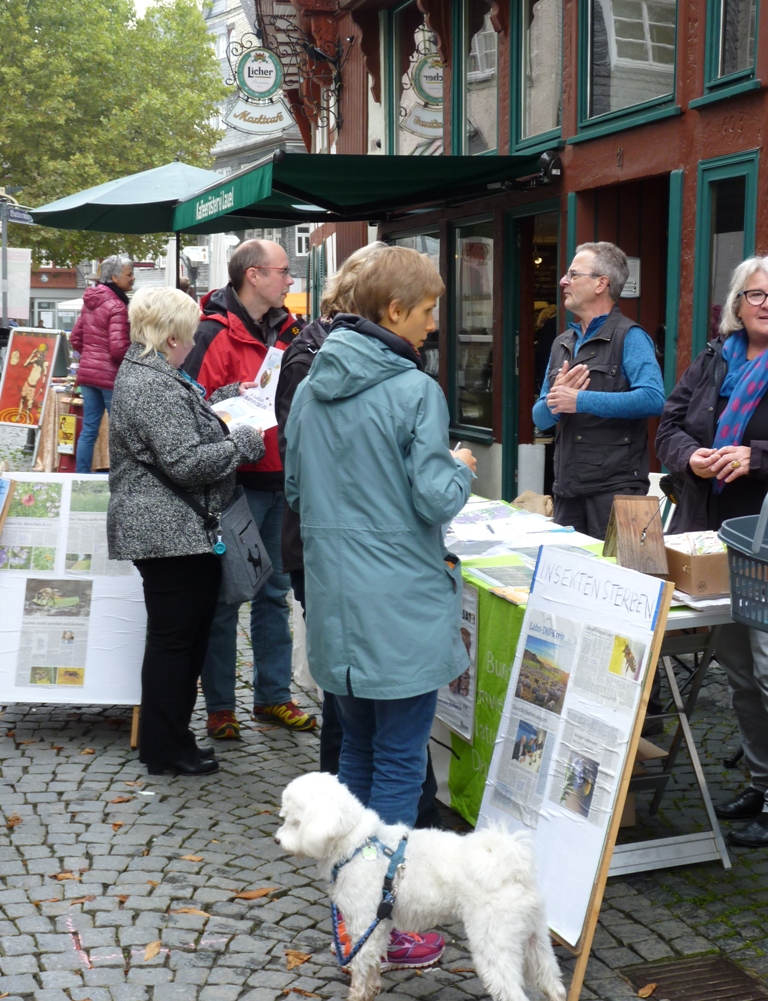 Bio- und Regionalmarkt in Herborn