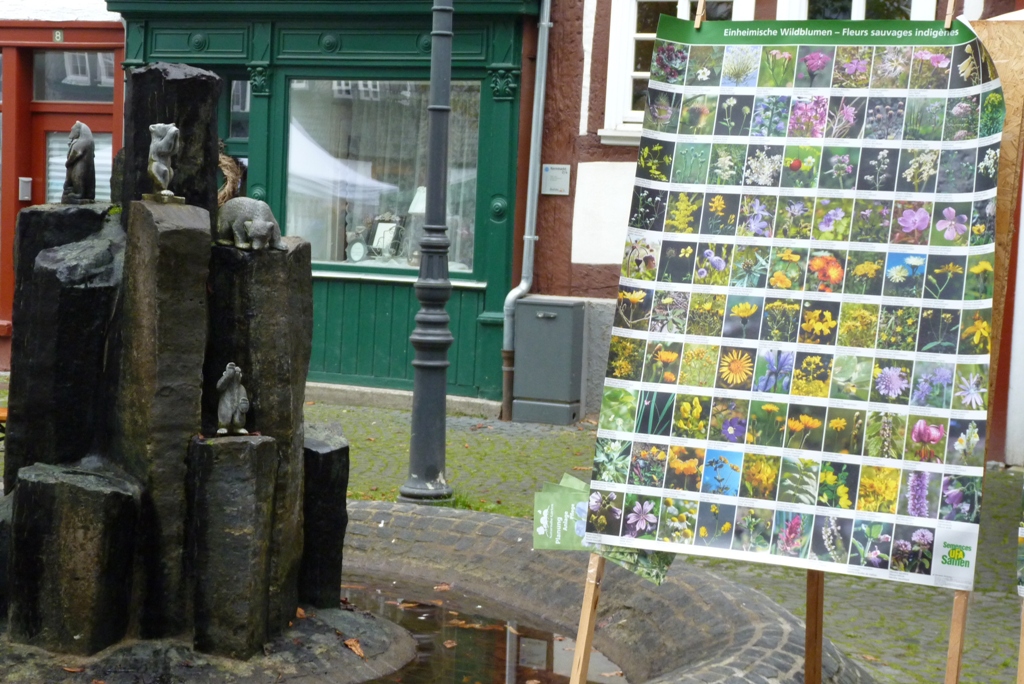 Bio- und Regionalmarkt in Herborn