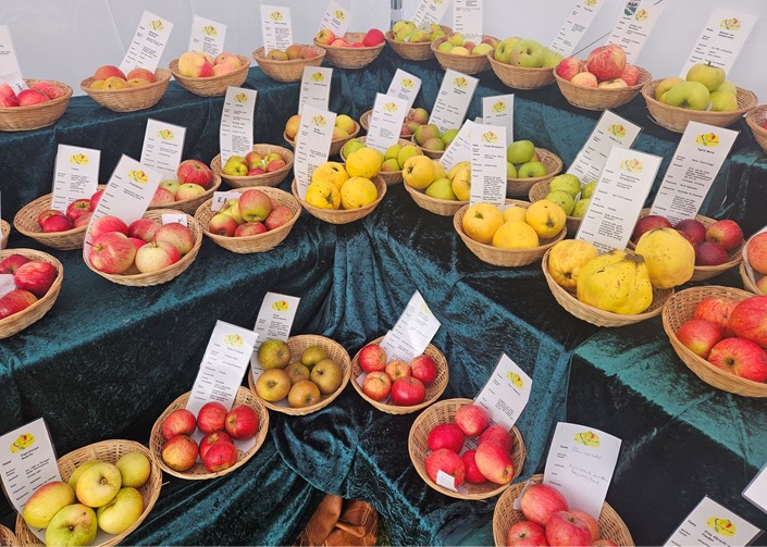 Obstsortensammlung unterwegs in Bonn und Kommern