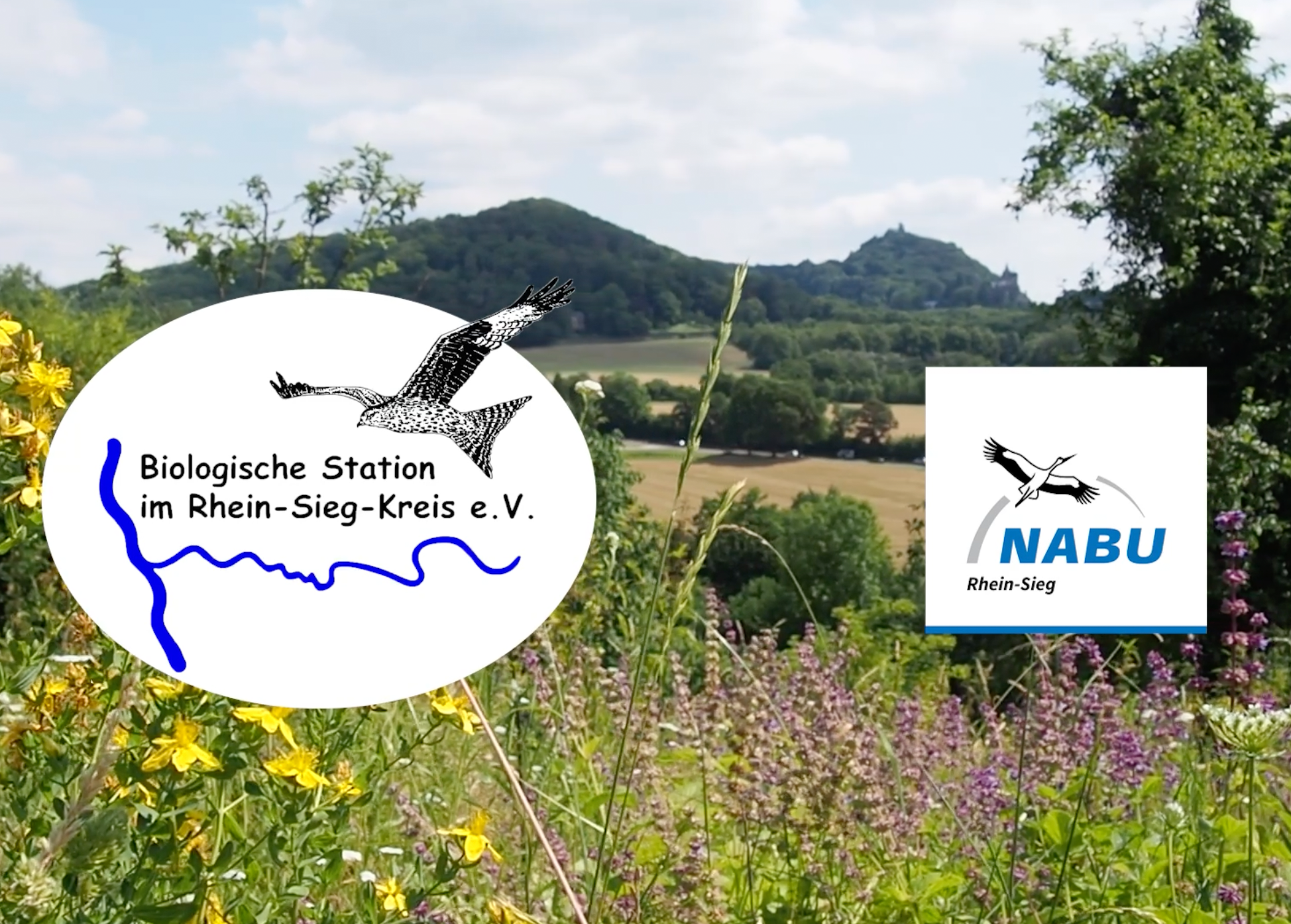 Eitorf-Stiftung fördert Ferienaktion der BioStation und des NABU Rhein-Sieg