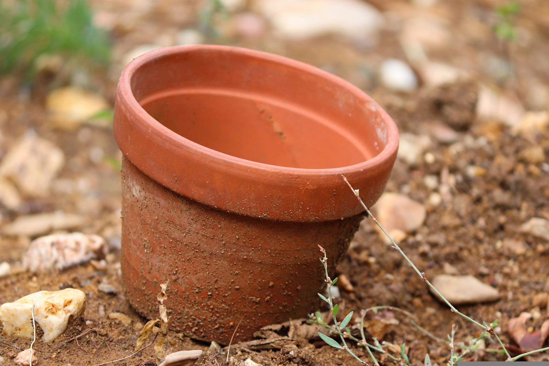 Les Oyas ou Jarres d'irrigation