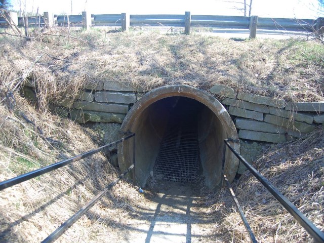Bragdon Farm Cow Underpass