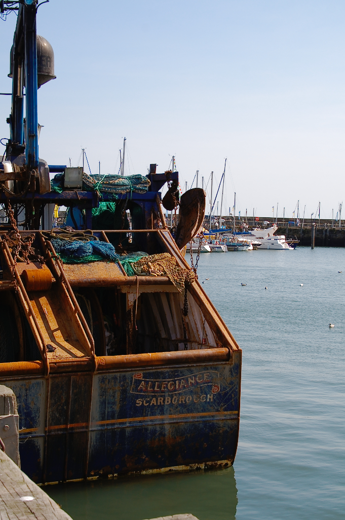 (M)ein Tag am Meer - Scarborough Schiff im Hafen - Zebraspider DIY Blog