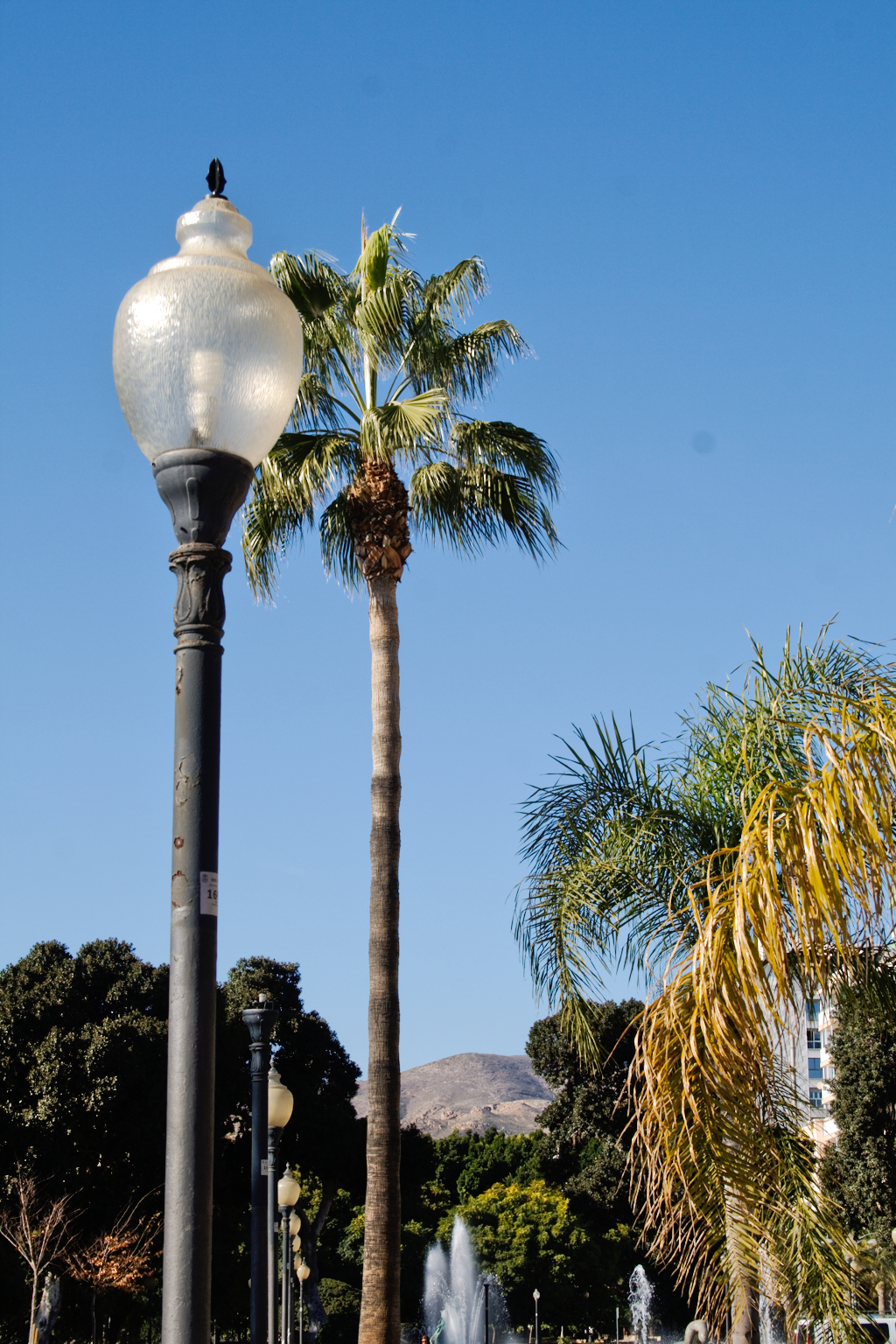 Weihnachten in Andalusien (viele Fotos) - Park in Almeria - Zebraspider DIY Anti-Fashion Blog