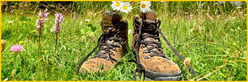Wandelen - Wandelsokken - Herensokken - Magic Socks