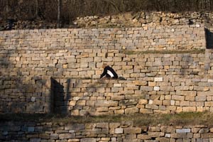 NABU Weinberg Burgstall in Schwieberdingen