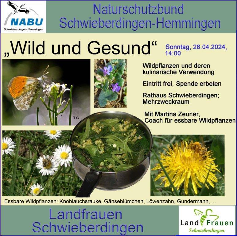 „Wildpflanzen und deren kulinarische Verwendung“- Ankündigung