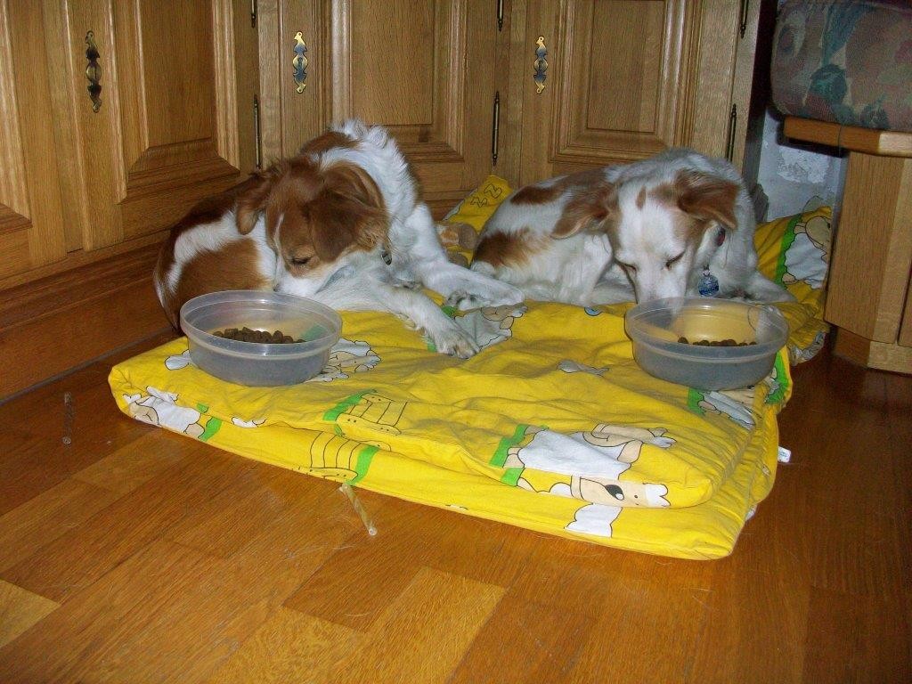Im Liegen schmeckts am Besten (Chivola und Ayla)