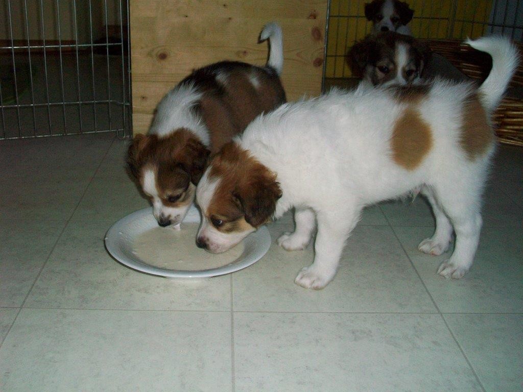 Donita und Dario
