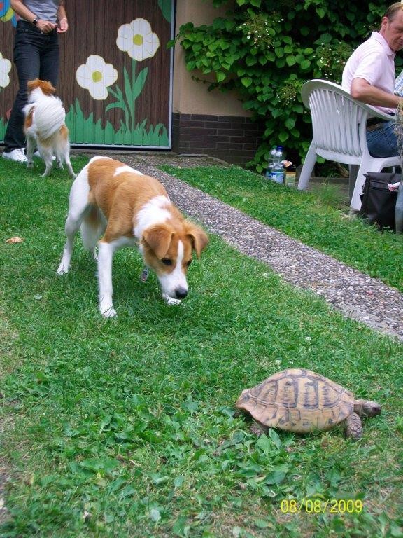 bela ist bei Papa Charly eingezogen