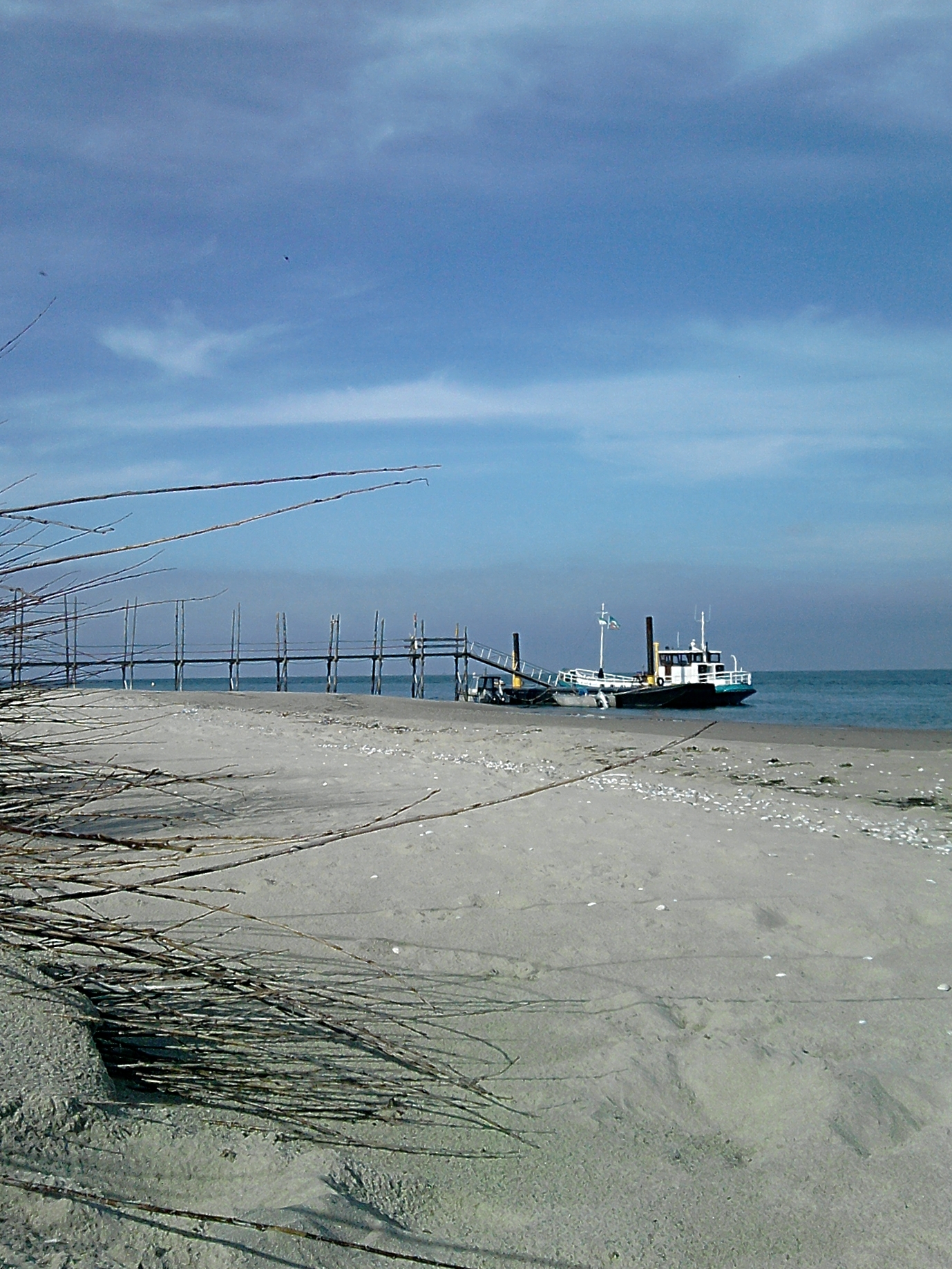 Texel- De Cocksdorp  -  (c)T.Renneke