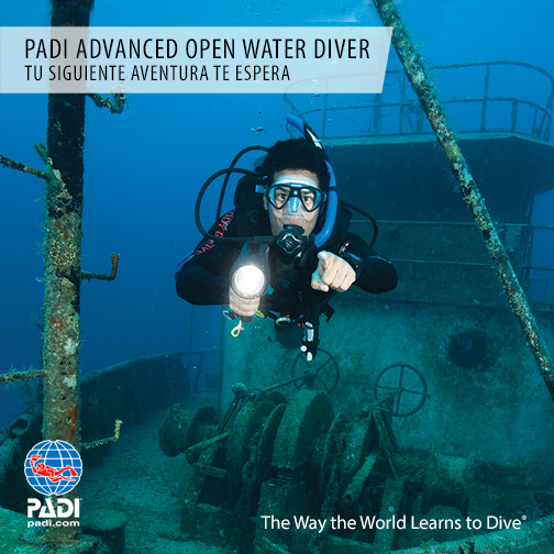 Ofertas cursos de buceo Padi en Varadero