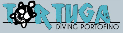 buceo italia portofino